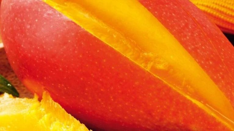 Vitaminschonend kochen