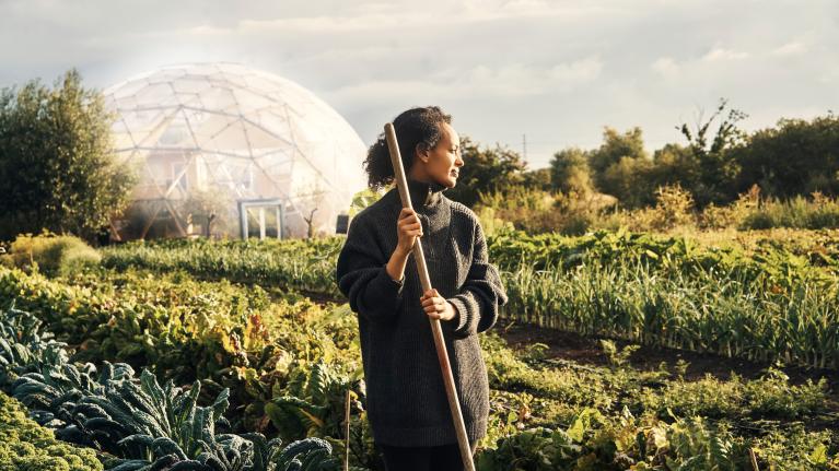 Lebensmittelindustrie Klimawandel