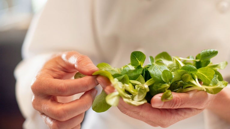Salatblätter