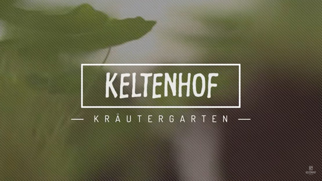 Der-Kräutergarten