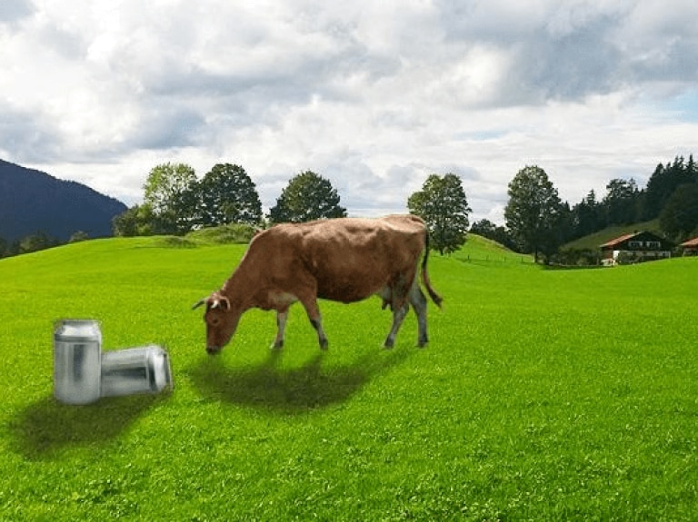 Butter Fettsaeuren-Koch besucht Bauer alles in Butter Titelbild