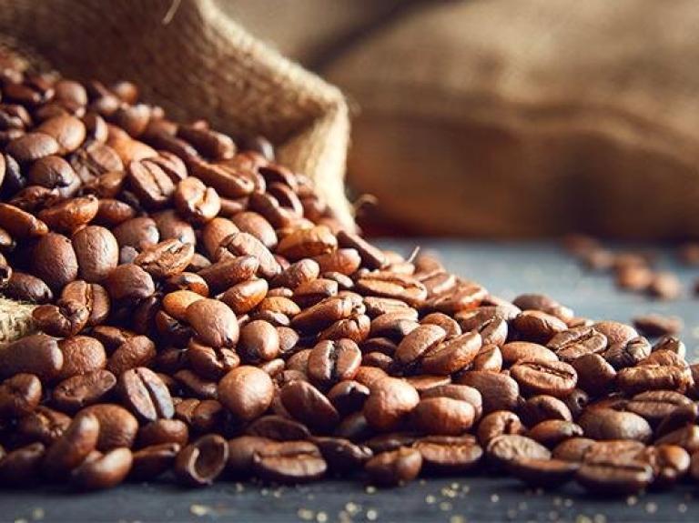 Kaffeeröstung &amp; ihre Geheimnisse