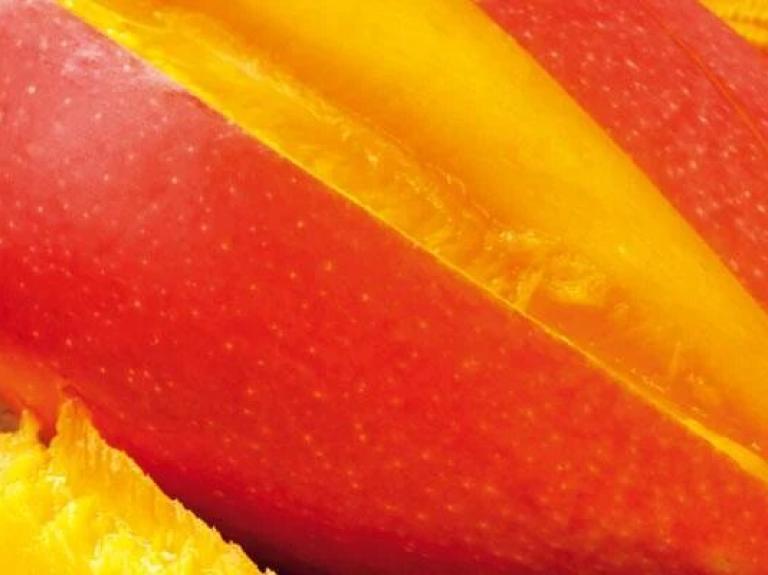 Vitaminschonend kochen