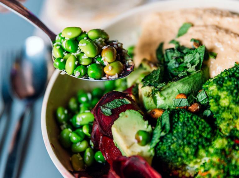 Digitale Ernährungsberatung, gesunde Ernährung