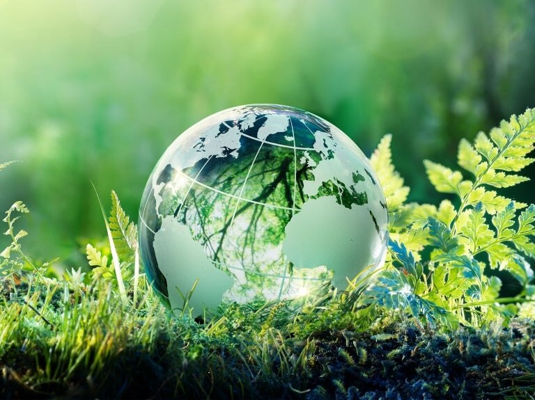 Nachhaltigkeit, Umwelt mit Globus aus Glas