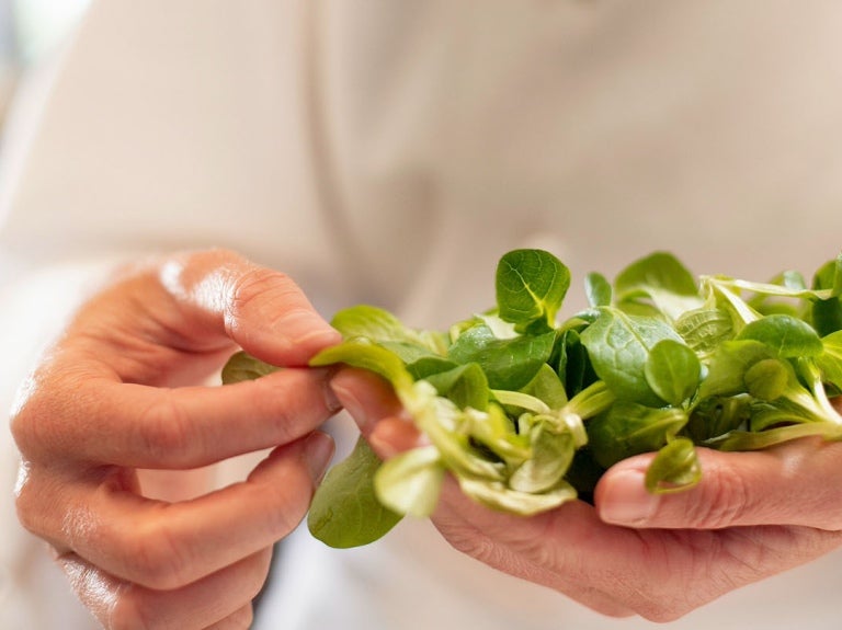 Salatblätter
