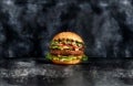 Garden Gourmet Sensational Burger