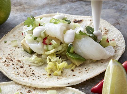 Ceviche aus Weißfisch mit Salz-Zitronen-Emulsion