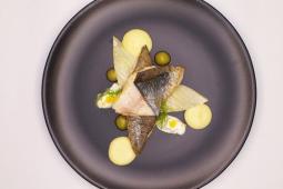 Forellenfilet mit Fenchelschaum und Mandarine