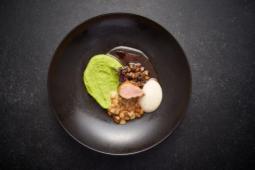 Ragout Fin "Reloaded"