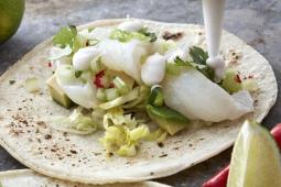 Ceviche aus Weißfisch mit Salz-Zitronen-Emulsion
