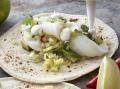 Ceviche aus Weißfisch mit Salz-Zitronen-Emulsion