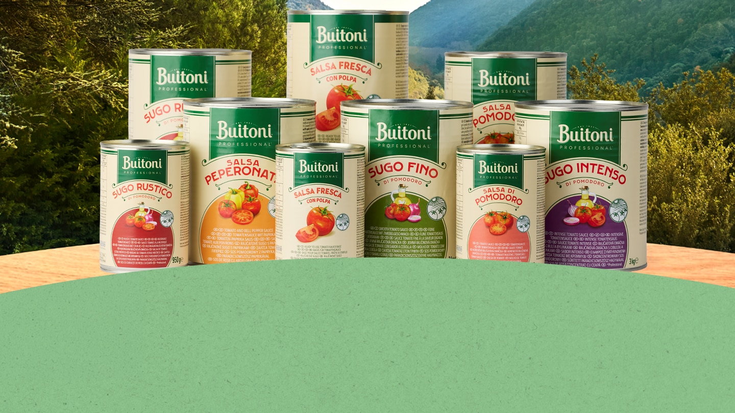 NP Buitoni Hero LP Produkte