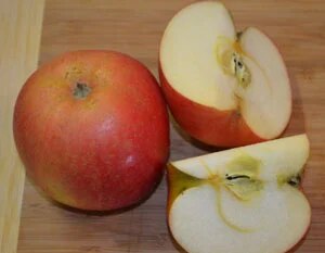 Apfelsorte Freiherr von Berleppsch