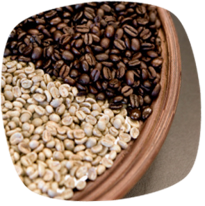 Aroma