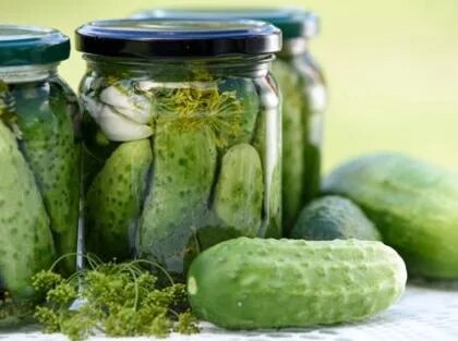 fermentieren-thumbnail