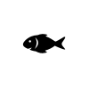 Icon Fisch