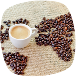 Kaffee Produktion
