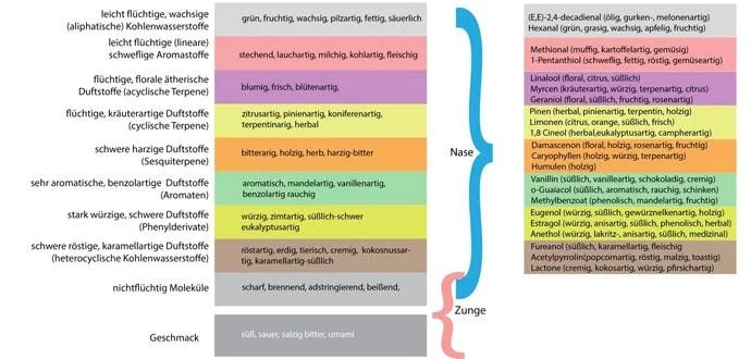 Food-Pairing-Aromagruppen