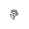 mohn