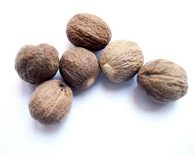 muskatnuss