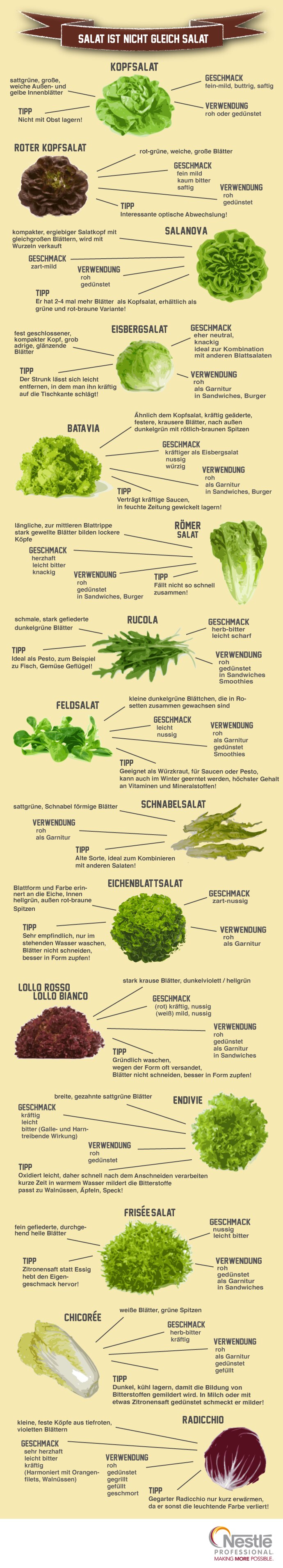 Infografik: Koch (be)sucht Bauer: Trends jenseits des Kopfsalates. Geschmack, Verwendung und Tipps zu verschiedenen Salatsorten.
