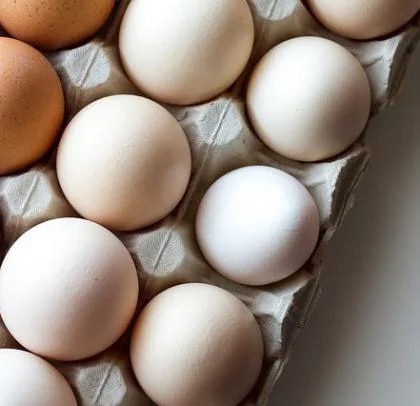 Eier