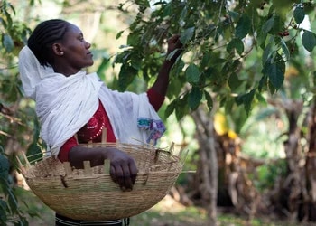 supporting farmers