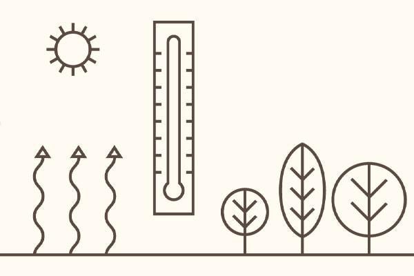 Icon Temperatur
