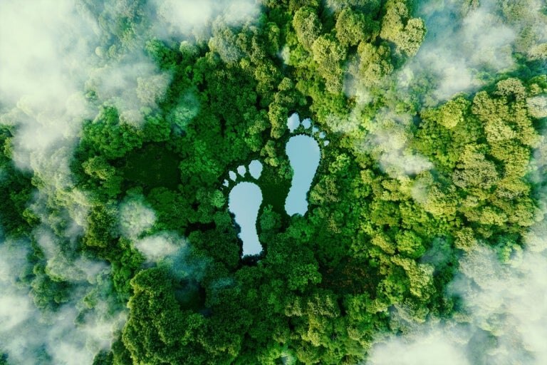 CO2 Fußabdruck, Nachhaltigkeit