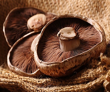 Portobello Pilze auf Korbe