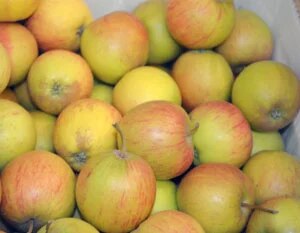Äpfel