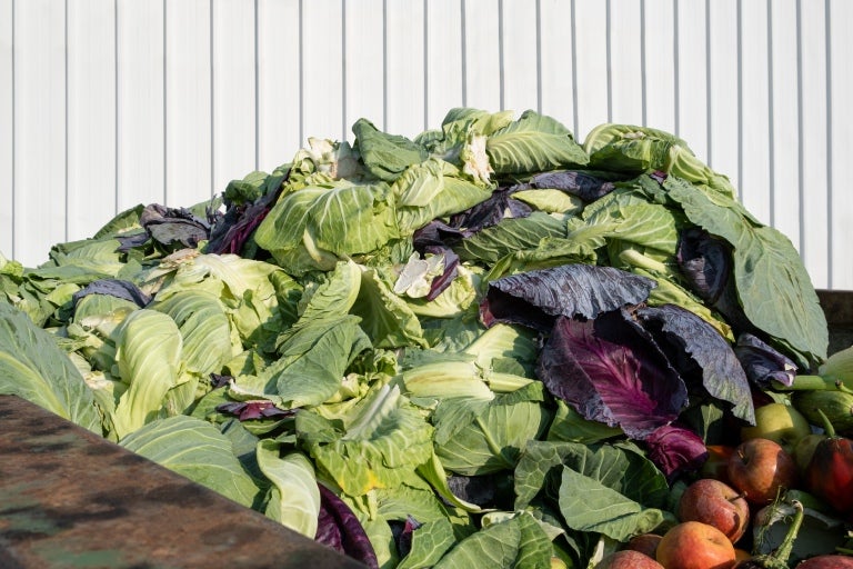 food waste