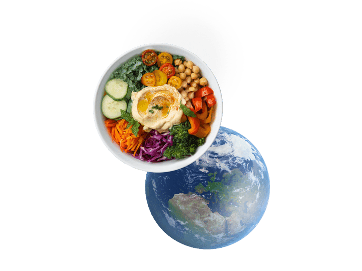 Erde und Bowl Gericht