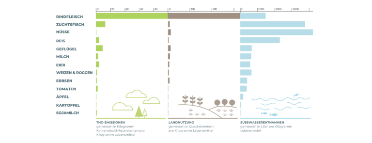 Infografik – Umweltauswirkungen von Lebensmitteln