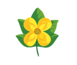 Thomy Gelbe Blume